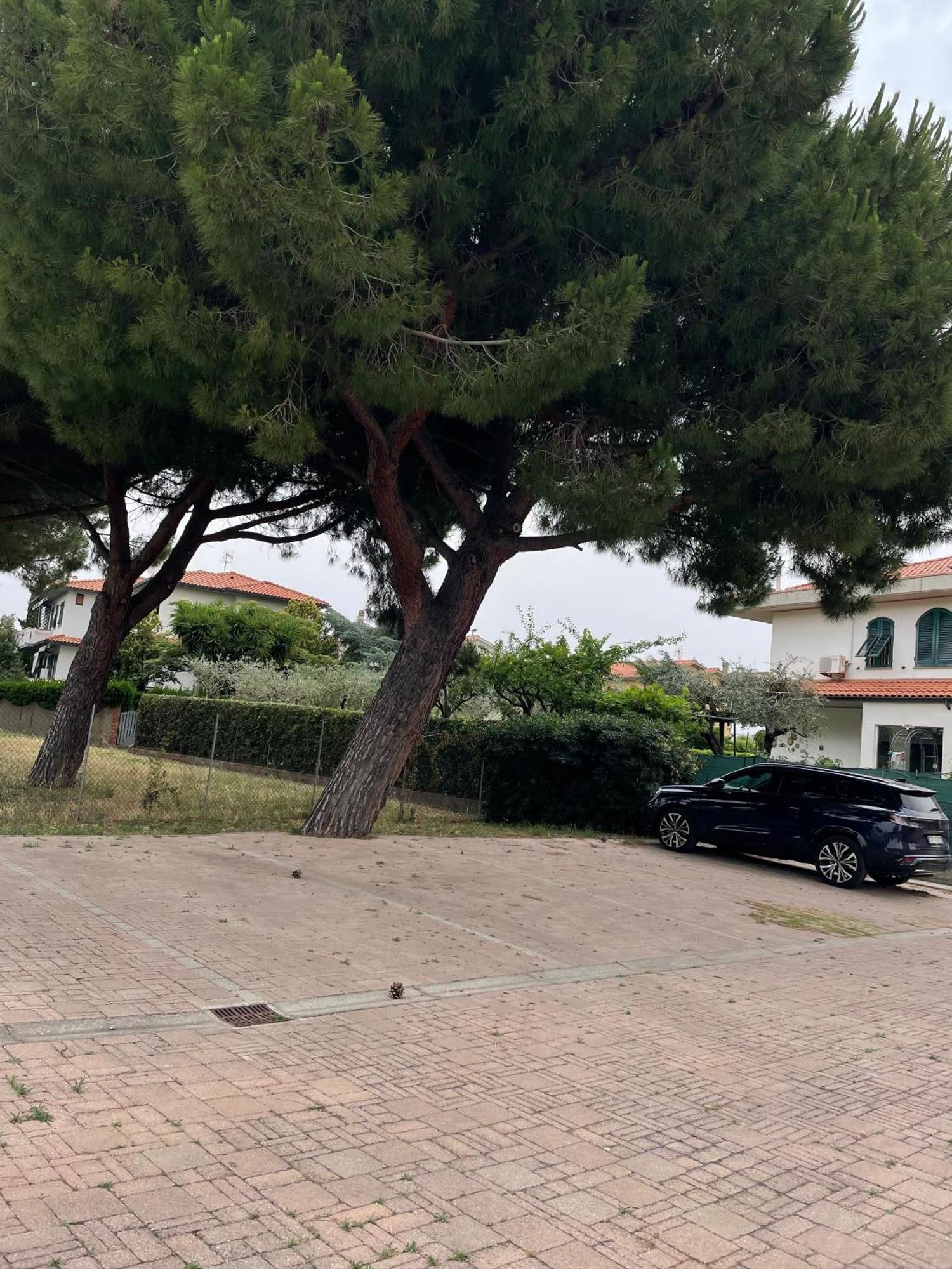 Casa Vacanze Le Due Torri Vada Extérieur photo